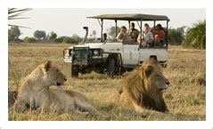 Activities | Chobe Safari Lodge