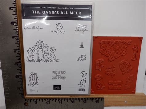 Stampin Up The Gangs All Meer Stamp Set Cling Rubber New A29487 Ebay