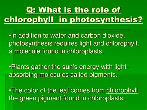 Photosynthesis September 25th/26th, ppt download