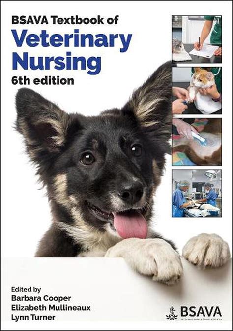 Bsava Textbook Of Veterinary Nursing 6th Edition By Philip Lhermette