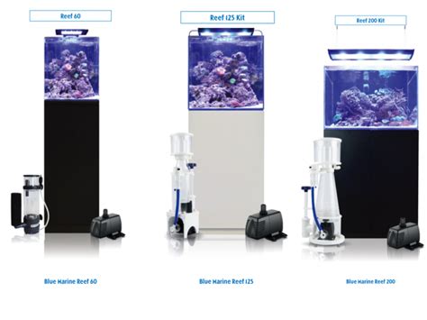 Pr Sentation Des Aquariums Blue Marine R Cifal News