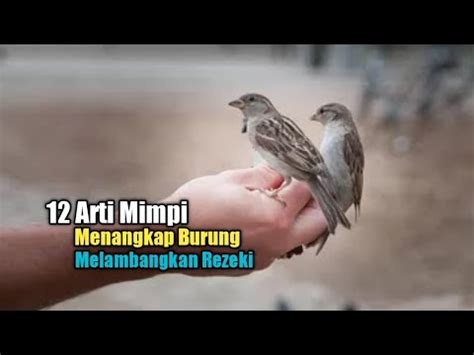 Arti Mimpi Menangkap Burung Melambangkan Rezeki Youtube