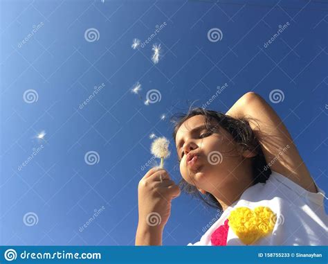 A Little Girl Blowing Dandelion Seeds Stock Image Image Of Adorable