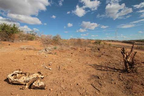 A pior seca de três décadas já afeta 10 milhões no Nordeste