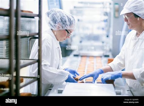 Factory workers on food production line Stock Photo - Alamy