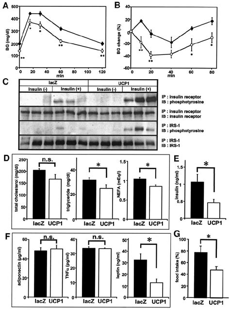 Hepatic Ucp Expression Improved Glucose Tolerance And Insulin