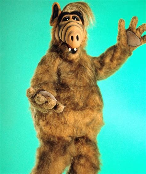 Andrea Elson Now Behind The Scenes And The Cast Of Alf Then And Now