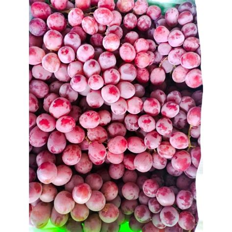 Jual Buah Anggur Australia Manis Red Globe Shopee Indonesia