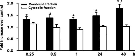 Figure From Role Of High Glucoseinduced Nuclear Factor B Activation