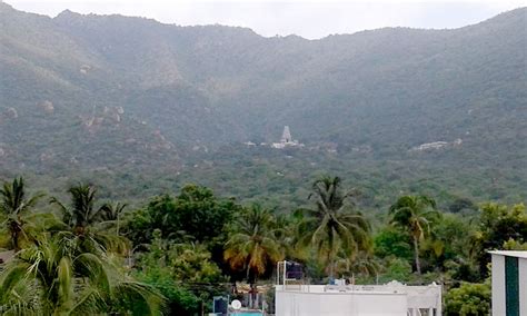 Marudhamalai Murugan Temple Coimbatore - History, Pooja Timings