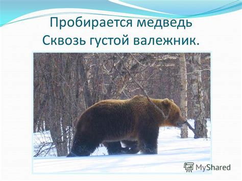 Презентация на тему: "Презентацию подготовила ученица 1 а класса МБОУ ...