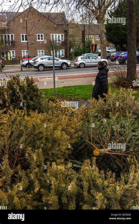 Hilly Fields Park London Hi Res Stock Photography And Images Alamy