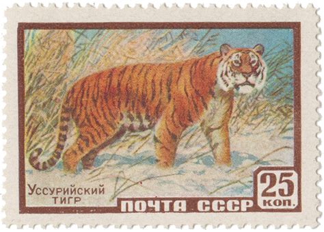 Уссурийский тигр | Stamps.ru