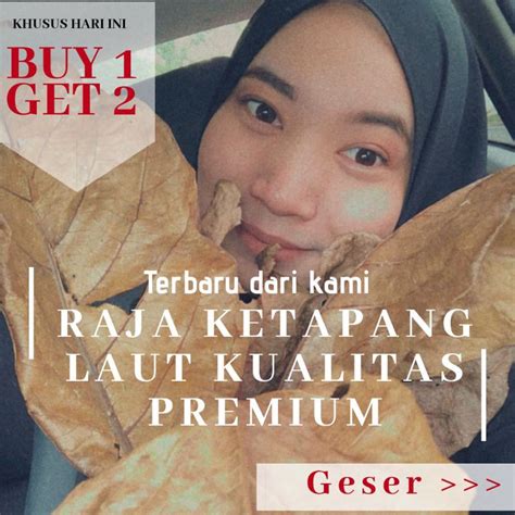 Jual RAJA DAUN KETAPANG LAUT PREMIUM BUY 1 GET 2 MURAH BERKUALITAS IKAN