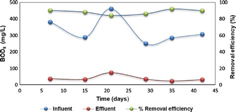 Influent And Effluent Bod Concentration And Removal Efficiency