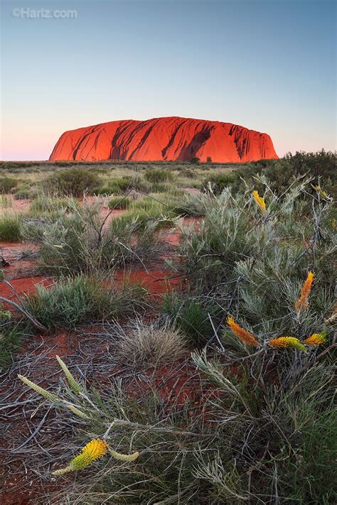 Alice Springs Uluru Itinerary Map Australia S Red Center Road Trip