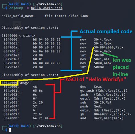 Linux X86 Assembly How To Build A Hello World Program In Nasm