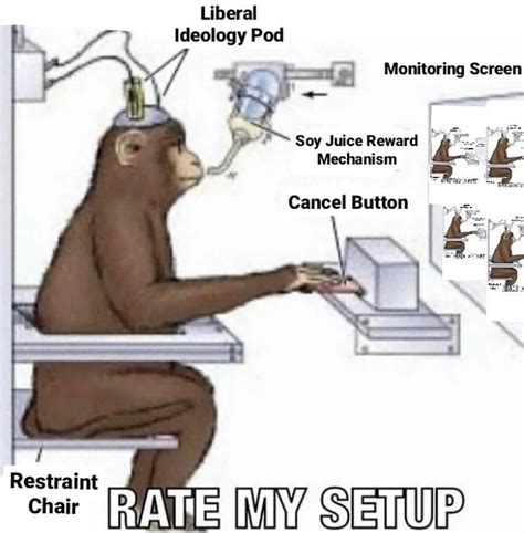 accelerated hyper-panopticon | Stimulus Screen / Juice Reward Mechanism ...