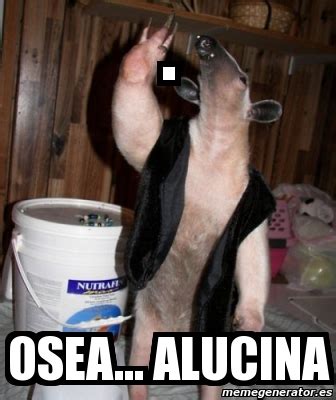 Meme Personalizado OSEA ALUCINA 3293132