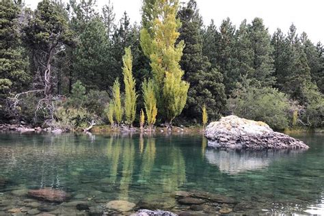 Excurs O A Villa Meliquina E Lago Filo Hua Hum San Martin De Los