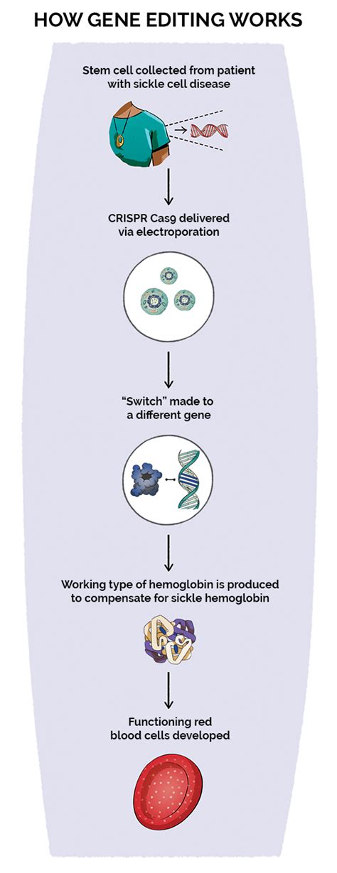 Gene Therapy In Sickle Cell Disease