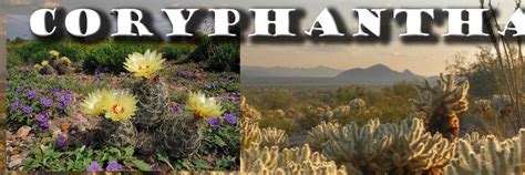 Корифанты ( Coryphantha ) *** | Приглашаются все любители этих ...