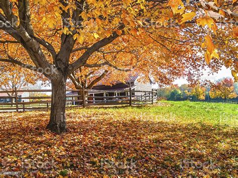 Autumn Farm Scenes Wallpapers Wallpaper Cave