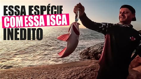 Nunca Tinha Visto Esse Peixe Nessa Isca Pescaria De Cost O Em Floripa