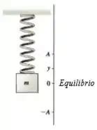 Um Corpo De Massa M Est Preso A Uma Mola Vertical De Consta