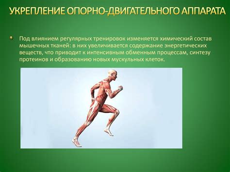 Влияние спорта на здоровье человека - online presentation
