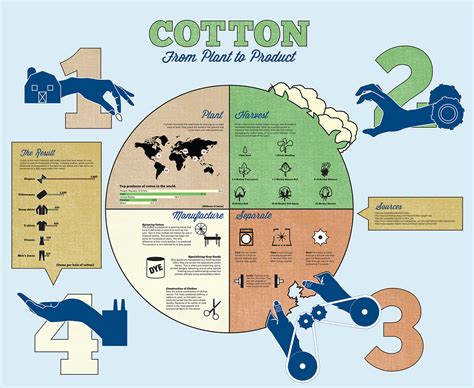 The Process Of Cotton Infographic Behance