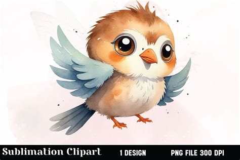 Watercolor Fluffy Bird Clipart Graphic by Vertex · Creative Fabrica