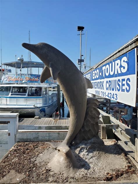 The Original Dolphin Watch South Padre Island