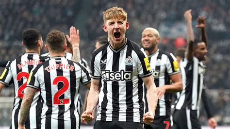 Roaring Night Newcastle United Vs Brighton Bareng Indo Toon Army Yang