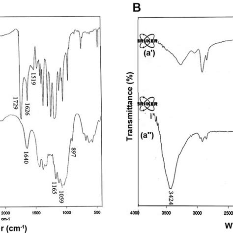 Ft Ir Spectra Of Pclsfsesmmc A And Mc A Nanofibers A Ft Ir