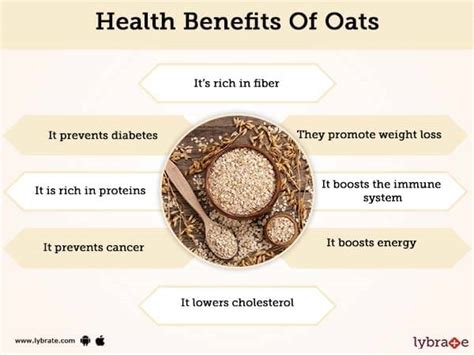 Oats Health Benefits And Its Side Effects Lybrate