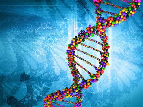 Scientists Sequence Human Genomes As New Reference For Genetic Diversity