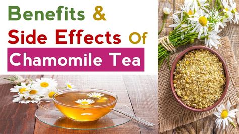 Benefits And Side Effects Of Chamomile Tea Youtube