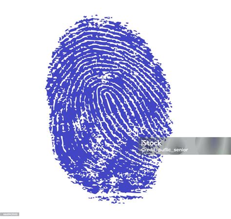 Blue Fingerprint Stock Photo Download Image Now Biometrics Black