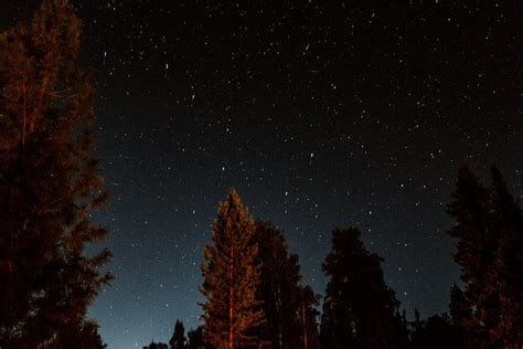 Foto De Stock Gratuita Sobre Arboles Cielo Estrellado Cielo Nocturno