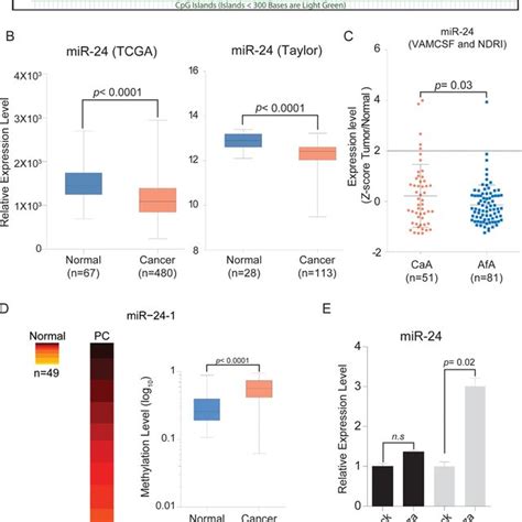 Chromosome Location Of Mir 24 1 And Expression Levels In Pca Tissues Download Scientific