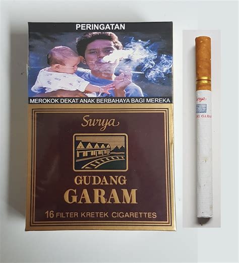 Gudang Garam Surya 16's - 10 Packs - 160 Cigarettes - The Fine Taste of ...