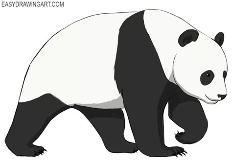 How To Draw A Panda Easy Drawing Art