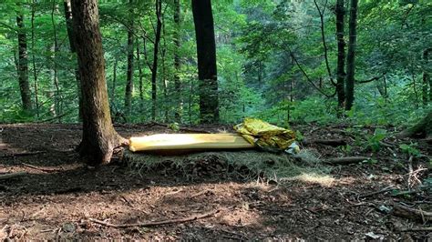 Berleben In Der Natur Dem Wald Ist Egal Ob Ich Berlebe Zeit Online