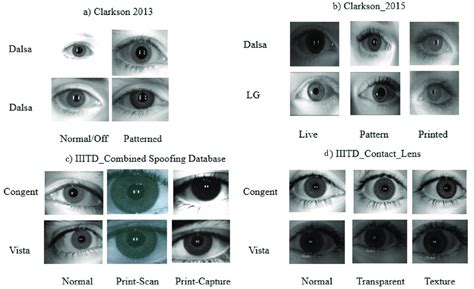 Sample Iris Images From An Iris Dataset Download Scientific Diagram