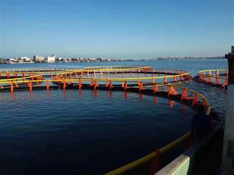 HDPE Aquaculture Fish Farming Floating Net Cages Equipment For Tilapia