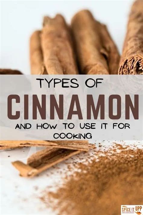 4 Best Types Of Cinnamon A Complete Guide Spiceitupp