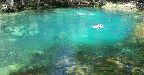 Manatee Springs State Park - map, photos and other informations