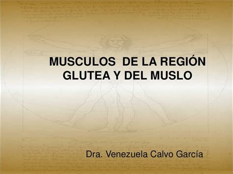 Músculos de la región glútea y del muslo Carlos Daniel Cárdenas