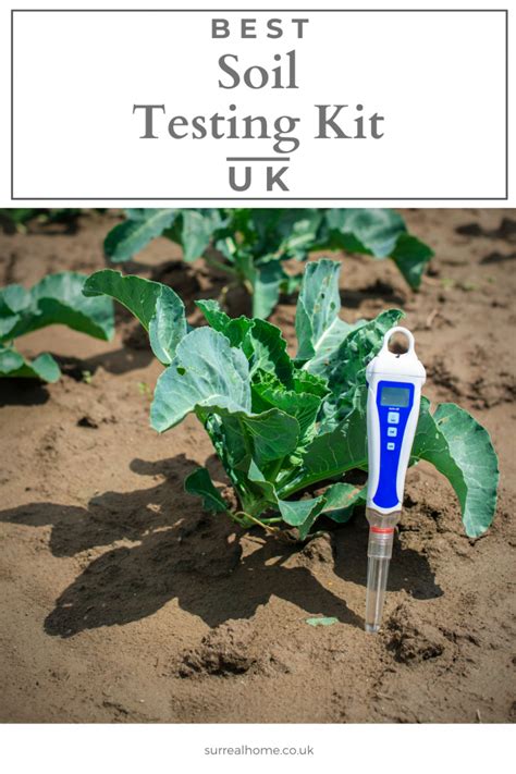 The 9 Best Soil Testing Kits In The Uk For 2024